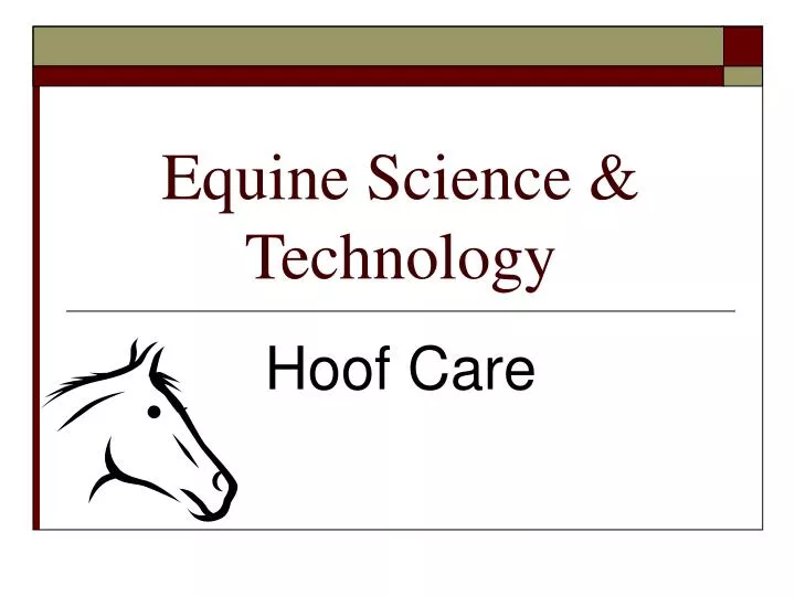 equine science technology