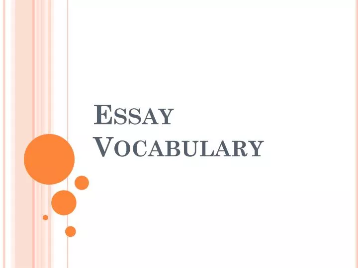 essay vocabulary