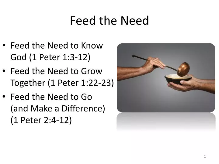 feed the need