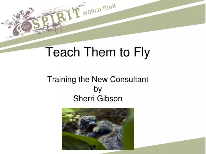teach them to fly training the new consultant by sherri gibson
