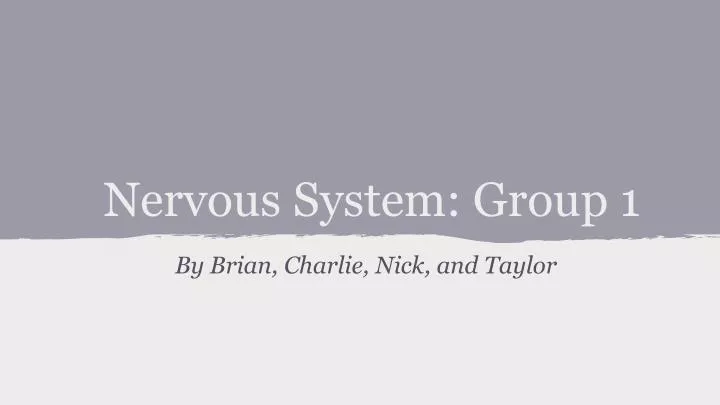 nervous system group 1