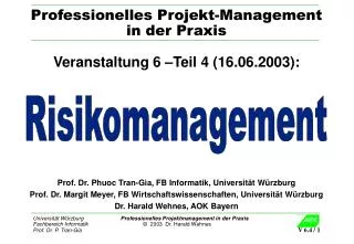 professionelles projekt management in der praxis