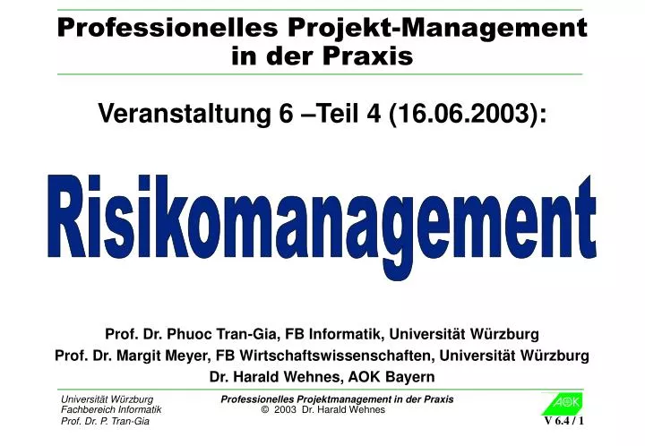 professionelles projekt management in der praxis
