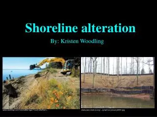 shoreline alteration