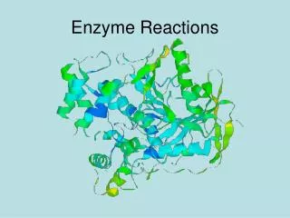 Enzyme Reactions