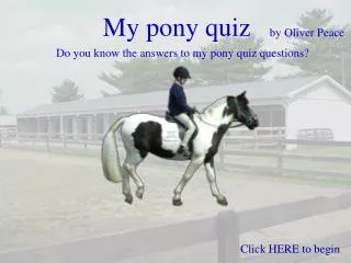 My pony quiz