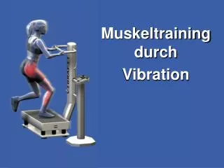 muskeltraining durch vibration