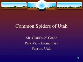 Common Spiders of Utah