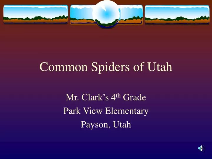 common spiders of utah