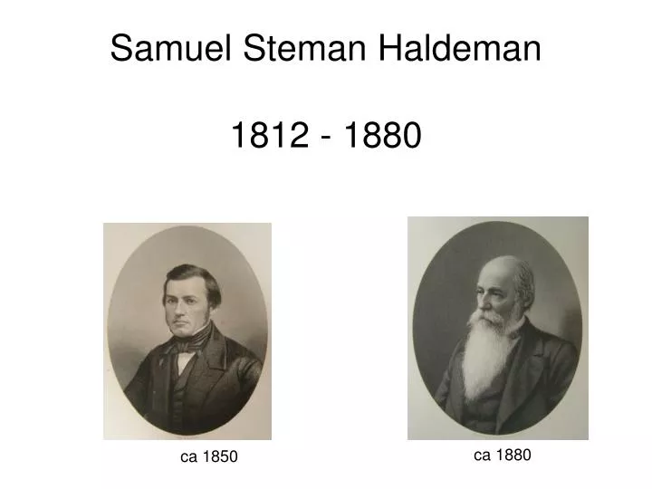 samuel steman haldeman 1812 1880