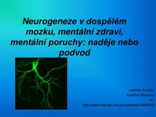 Neurogeneze v dospělém mozku, mentální zdraví, mentální poruchy: naděje nebo podvod