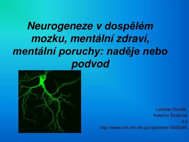neurogeneze v dosp l m mozku ment ln zdrav ment ln poruchy nad je nebo podvod