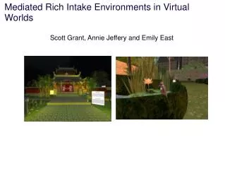 Mediated Rich Intake Environments in Virtual Worlds