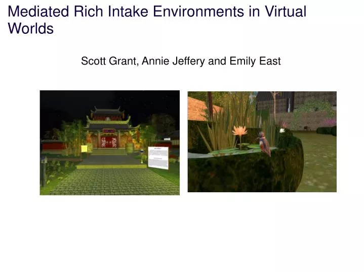 mediated rich intake environments in virtual worlds