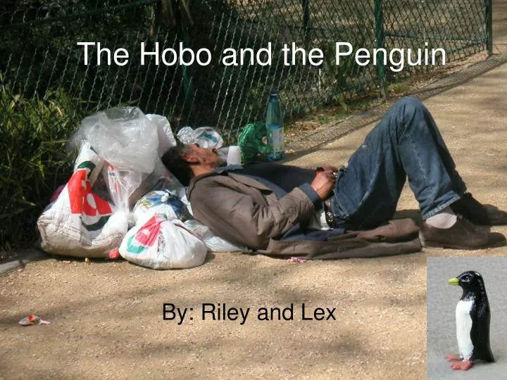 the hobo and the penguin