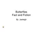 Butterflies Fact and Fiction - slide 1