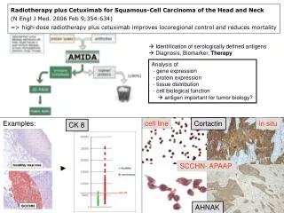 Radiotherapy plus Cetuximab for Squamous-Cell Carcinoma of the Head and Neck