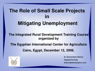 The Role of Small Scale Projects in Mitigating Unemployment