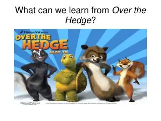 What can we learn from Over the Hedge ?