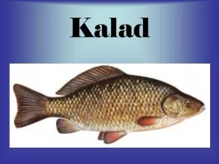 kalad