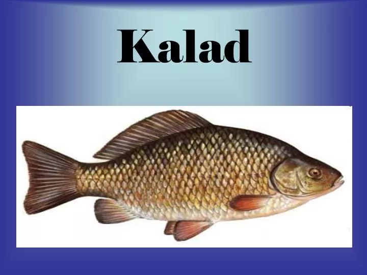 kalad