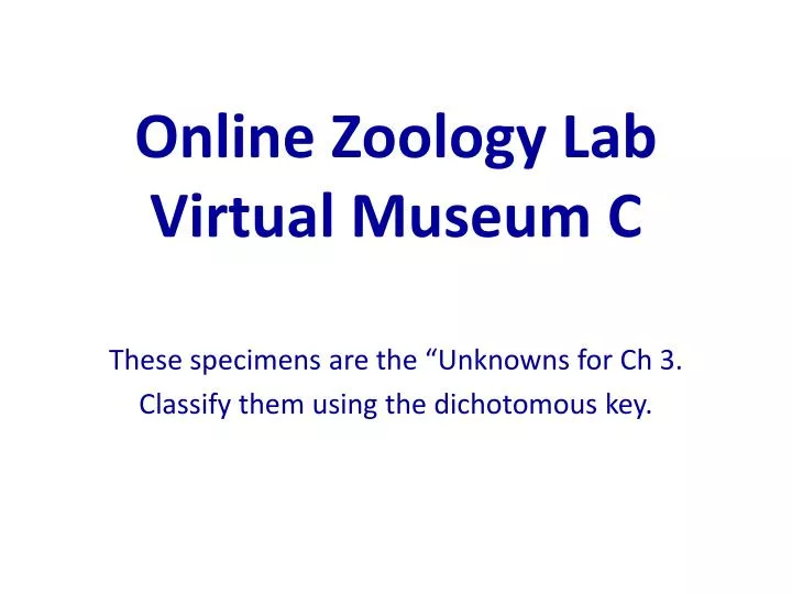 online zoology lab virtual museum c