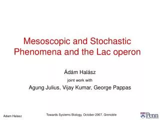 Mesoscopic and Stochastic Phenomena and the Lac operon