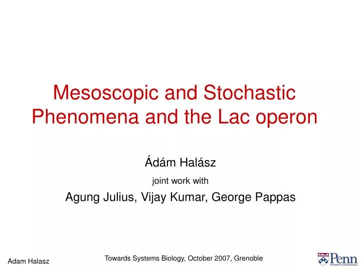 mesoscopic and stochastic phenomena and the lac operon