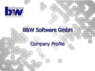 B&amp;W Software GmbH