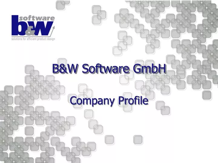 b w software gmbh