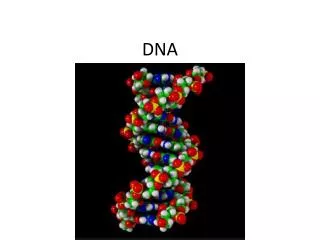 DNA