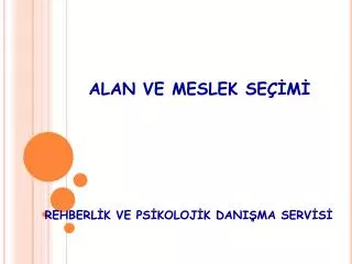 alan ve meslek se m