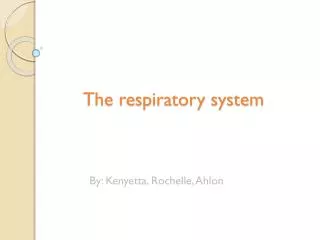 The respiratory system