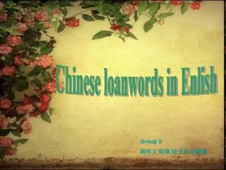 Chinese loanwords in Enlish
