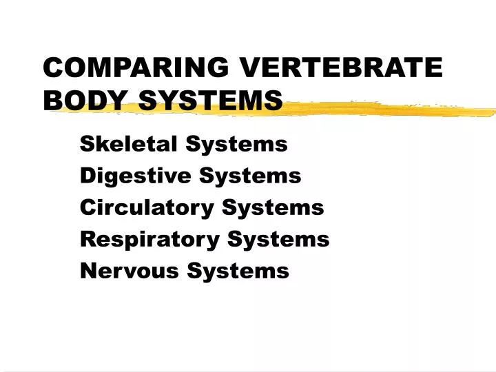comparing vertebrate body systems