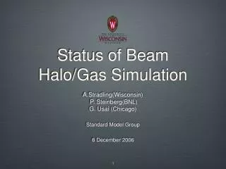 Status of Beam Halo/Gas Simulation