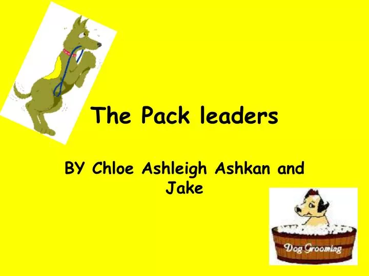 the pack leaders