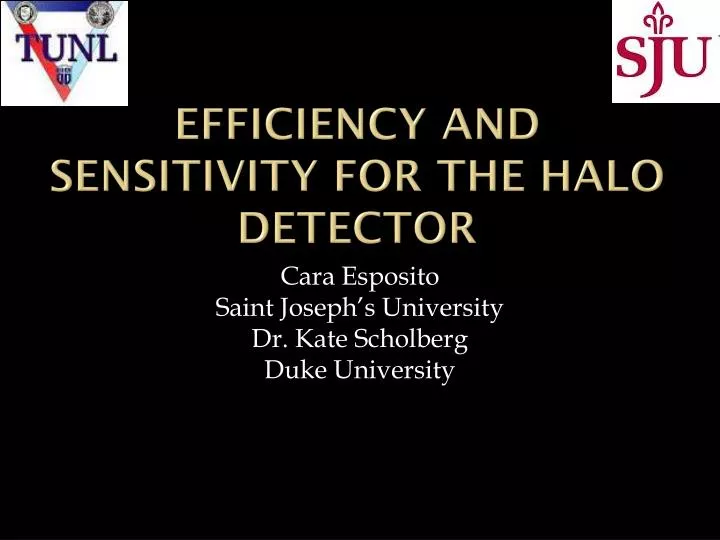 efficiency and sensitivity for the halo detector