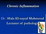 Chronic Inflammation Dr : Hala El-sayed Mahmoud Lecturer of pathology