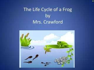 The Life Cycle of a Frog by Mrs. Crawford