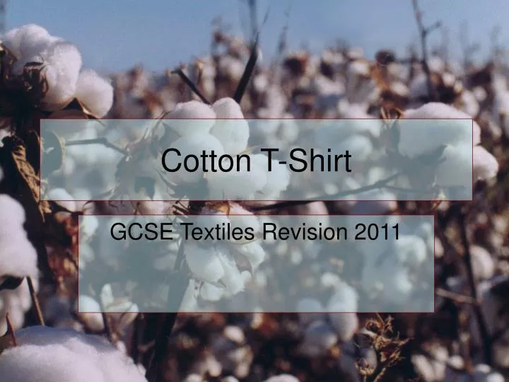 cotton t shirt