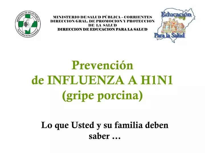 prevenci n de influenza a h1n1 gripe porcina