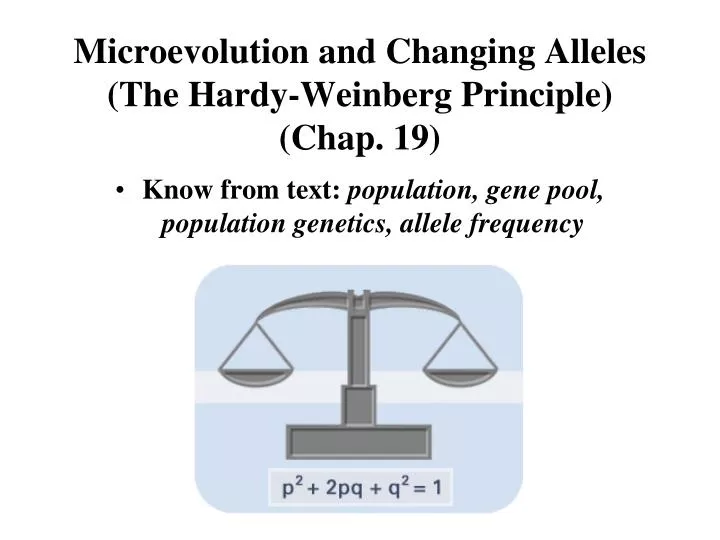 microevolution and changing alleles the hardy weinberg principle chap 19