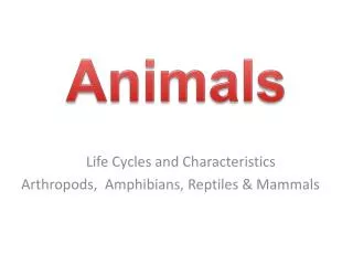 Life Cycles and Characteristics Arthropods, Amphibians, Reptiles &amp; Mammals