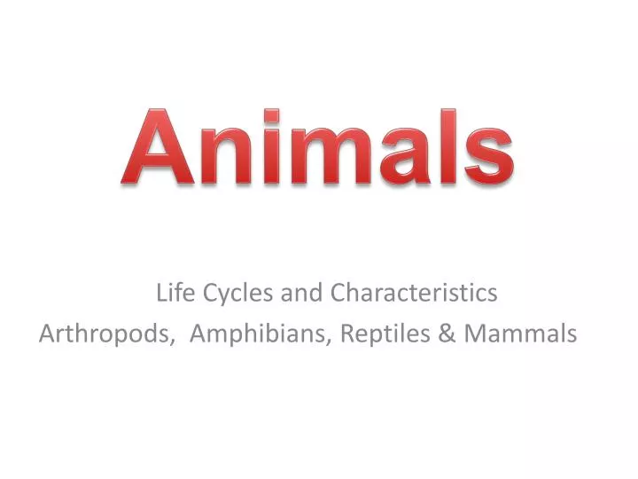 life cycles and characteristics arthropods amphibians reptiles mammals