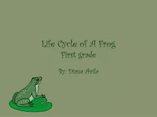 Life Cycle of A Frog First grade
