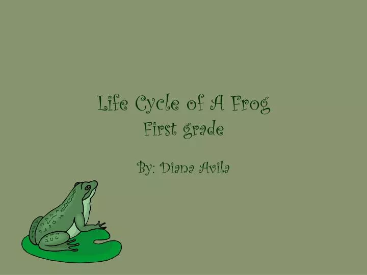 life cycle of a frog first grade