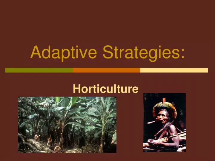 adaptive strategies