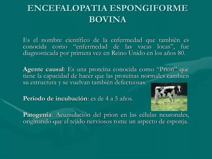encefalopatia espongiforme bovina