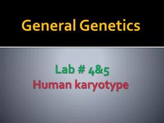 Lab # 4&amp;5 Human karyotype